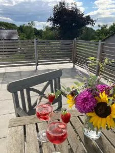 Ferienwohnung Heeser Birkenhof - Urlaub auf dem Bauernhof mit Blick ins Grüne - 威尔