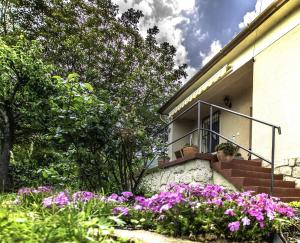 Diófa Apartman Balatonederics