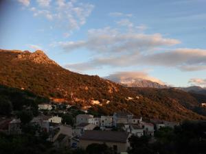 Maisons de vacances Casa di Pilou - Maison et jardin pres de la mer (Corse) : photos des chambres