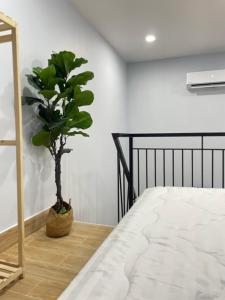 Vania House - Homestay Gò Vấp - near Hồng Đức Hospital