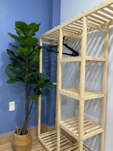 Vania House - Homestay Gò Vấp - near Hồng Đức Hospital