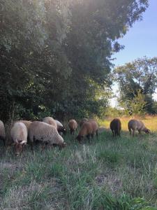 Sejours a la ferme LA FERME DE RUSSE : photos des chambres