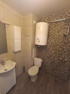 Apartnikolov1