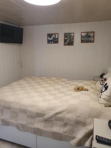 Ferienhaus am Schwielochsee