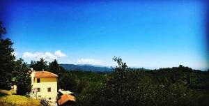 Affittacamere Bocca dOrso
