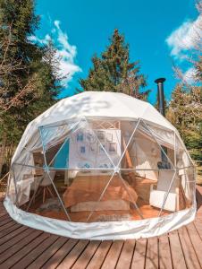 Medve Dome - Luxury Camping in the middle of nature