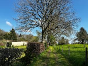 Sejours a la campagne Cottage Vesqueville : photos des chambres