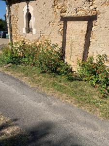 Maisons de vacances Charming 1 bed cottage in countryside : photos des chambres