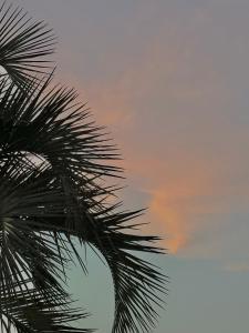 제주 전통 구옥을 현대식으로 해석한 Stay EUNWOL-OJO