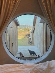 제주 전통 구옥을 현대식으로 해석한 Stay EUNWOL-OJO