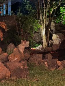 제주 전통 구옥을 현대식으로 해석한 Stay EUNWOL-OJO