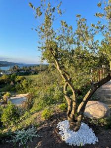 Villa neuve avec grande piscine chauffée vue mer