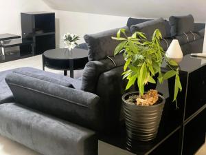 Apartmani Antoneta