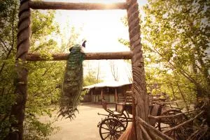 Bamboo Lodge Groningen - Matsloot