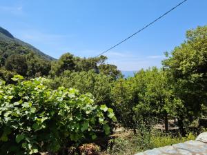 Maisons de vacances L'Elementariu : photos des chambres