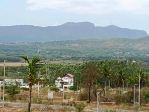 Nidagodu Homestay