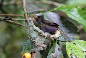 Suite en las Nubes Hotel Portal 360