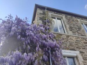 Appartements Le vulcain : photos des chambres