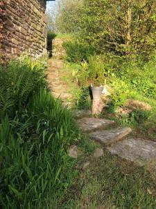 Appartements Gite du moulin de Trostang : photos des chambres