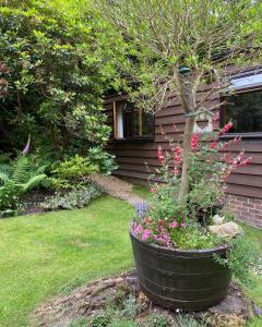 The Cabin, Roundabout Lane