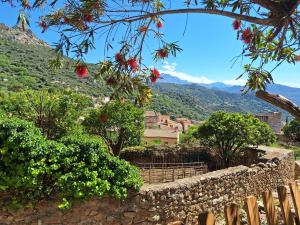 Maisons de vacances Casa di Pilou - Maison et jardin pres de la mer (Corse) : photos des chambres