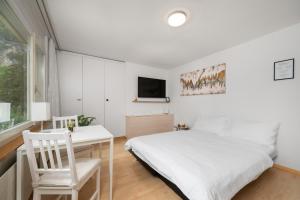 City Studio in Interlaken mit Parkplatz