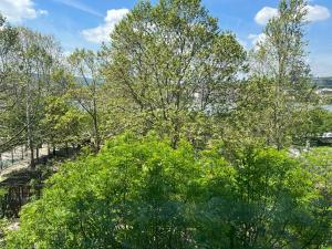 Little Americas Ashbury San Francisco Apartment