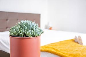 Appartements Famille au coeur de Perigueux : photos des chambres