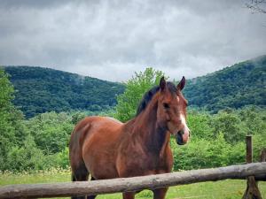 D&A rooms and apartments near Plitvice lakes