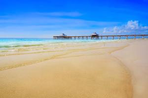 Four Mile Cove Enlightenment