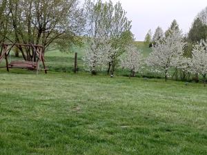 Domki na Mazurach -Pieczarki