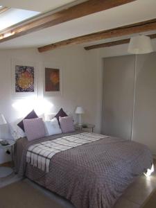 Maisons de vacances Delightful Village House Near Uzes with Pool : photos des chambres