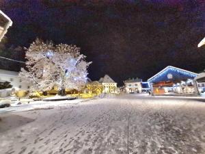 Appartements Appartement Le D12 Samoens : photos des chambres