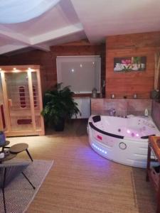 Maisons d'hotes Suite avec SPA et SAUNA privatif : photos des chambres