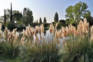 SOWELL HOTELS L'Olivier : photos des chambres