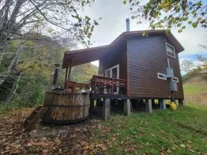 Entre Pampa y Bosque - Collico