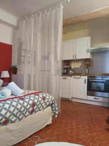 Appartements Studio le coquelicot by les toits de cocagne : Appartement 1 Chambre