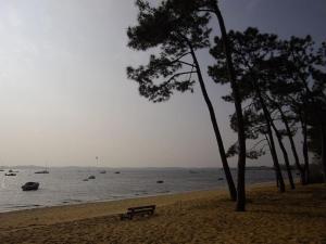 Maisons de vacances La cabane n°20, Plage a pieds : photos des chambres
