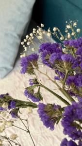 seaview apartments croatia – ENA