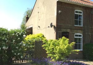 Lilac Cottage