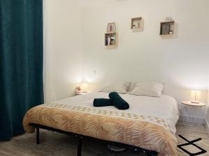 Appartements Appartement cosy a Toulouse : photos des chambres