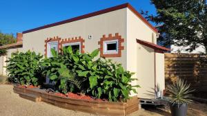 Copacabana TINY HOUSE studio terrasse jardin