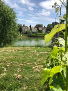 Appartements Accomodation in chateau Couronneau : photos des chambres