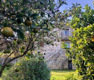 Hotels Les Bergeries de Figari : photos des chambres