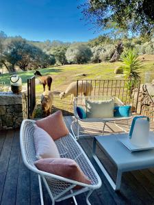 Hotels Les Bergeries de Figari : photos des chambres