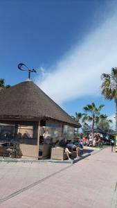 Piscina chimenea y barbacoa - Nueva Gerencia