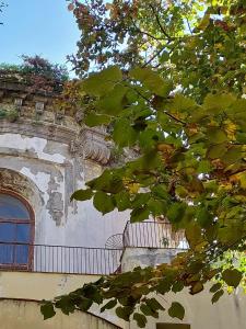 Palazzo Carafa di Montorio