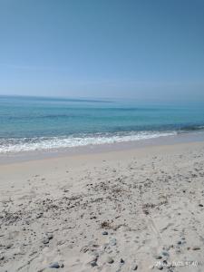 Porticciolo Verde img19