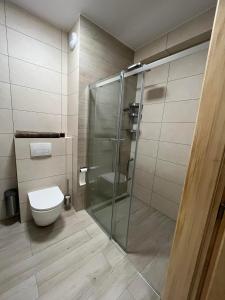 Apartament w Dolinie Sanu 2