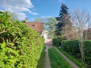 Nordic Dream Apartment in Kikinda